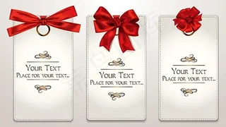 圣诞节精美礼品卡片矢量