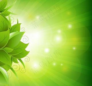 绿叶光芒梦幻背景图片