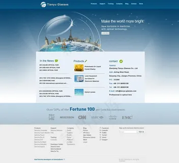 眼镜公司网站首页设计图片