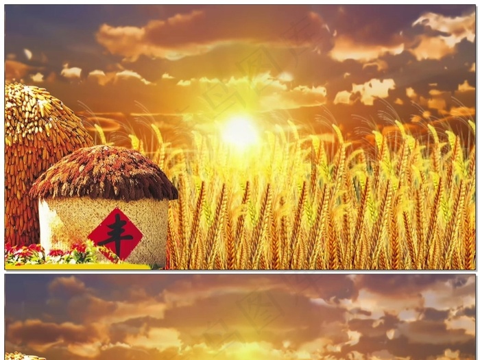 喜庆背景丰收粮仓麦穗麦田led背景...