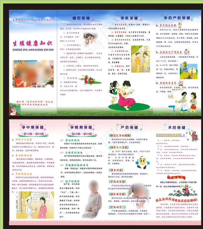 生殖健康知识 四折页图片cdr矢量模版下载