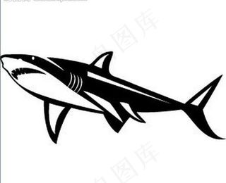 鲨鱼图片