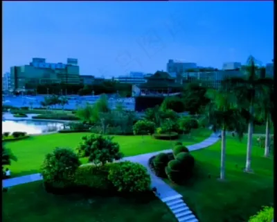 城市内雅致实景视频素材