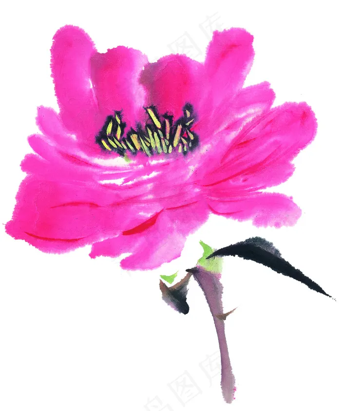 花卉美术