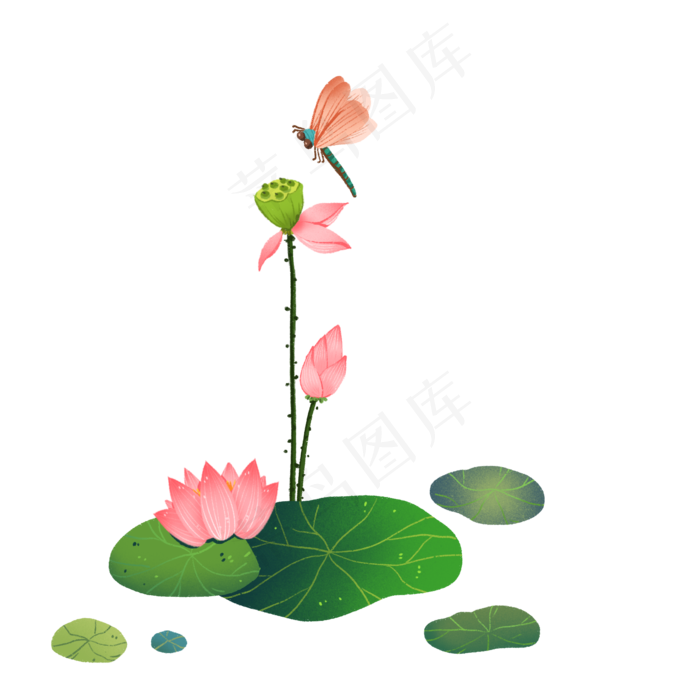 荷花和蜻蜓手绘插画荷花和蜻蜓手绘插画