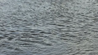 水的波纹股票视频 视频免费下载