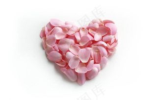 心形玫瑰花瓣图片