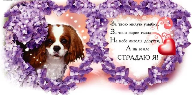 照片模板情人节心相印系列玫瑰边框图片