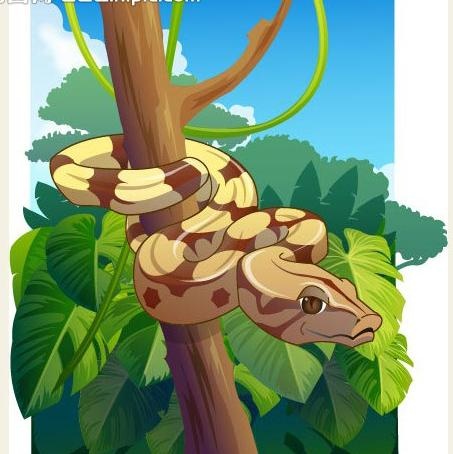 可爱动物绿色金蛇图片