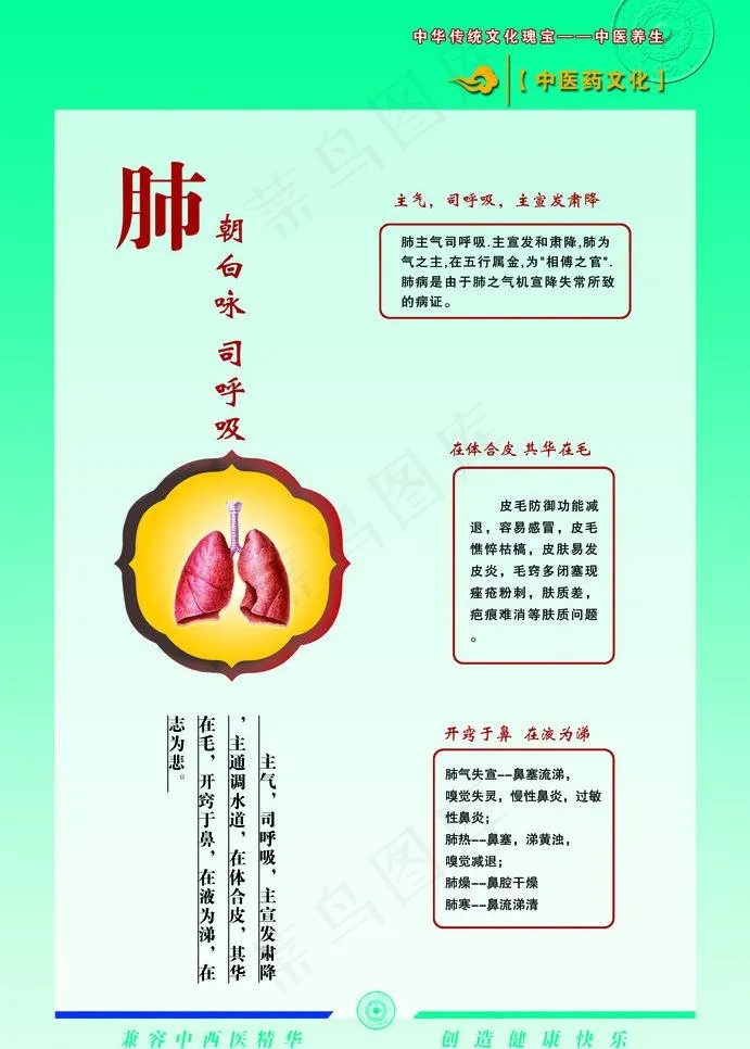 肺功能图片psd模版下载
