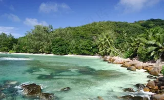 塞舌尔自然风光图片