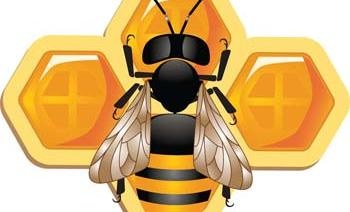可爱的3D蜜蜂和蜂窝矢量图ai矢量模版下载