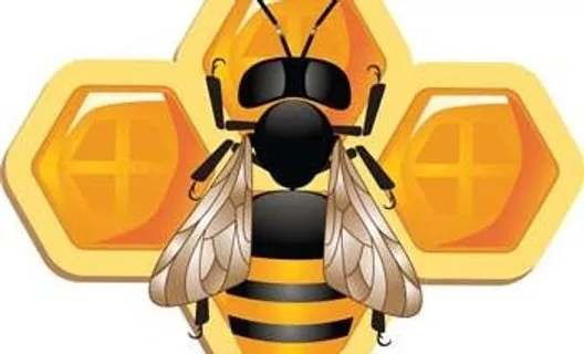 可爱的3D蜜蜂和蜂窝矢量图