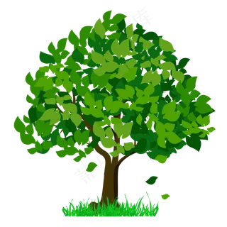 矢量卡通常绿大树