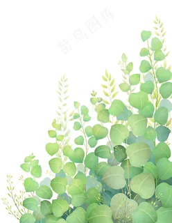 绿色花草插画