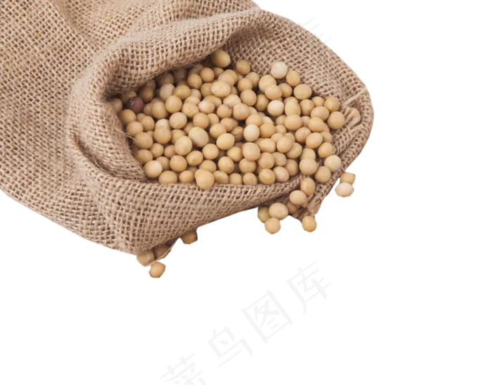 维生素黄豆豆浆营养(1638*1280px 300 dpi )psd模版下载