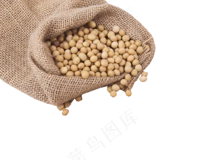 维生素黄豆豆浆营养