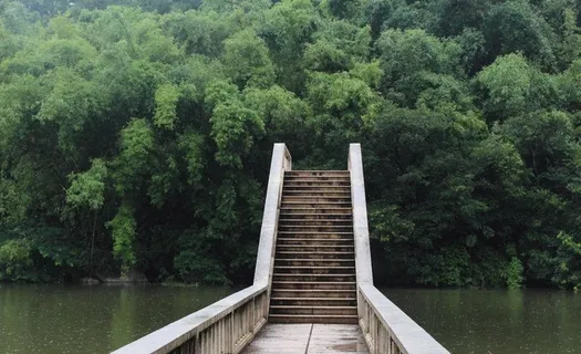雨中石桥 雨中石桥