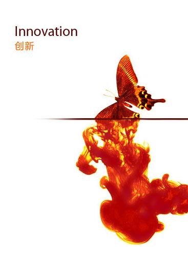 创新蝴蝶图片psd模版下载