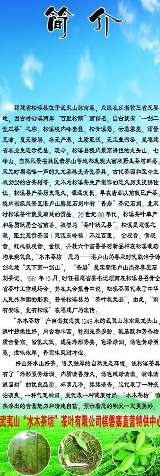 茶道 茶叶简介图片psd模版下载