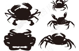 螃蟹图片