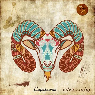 十二星座之摩羯座