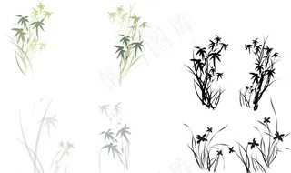 竹子 花 草 素材图片