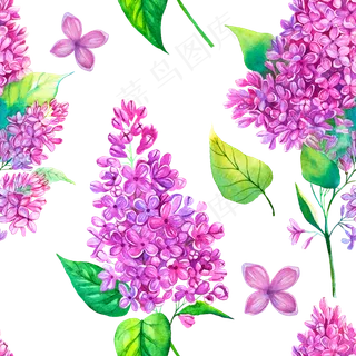 水彩丁香花花卉插图AI PNG J... 水彩丁香花花卉插图AI PNG J...