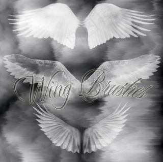 翅膀笔刷psd素材下载