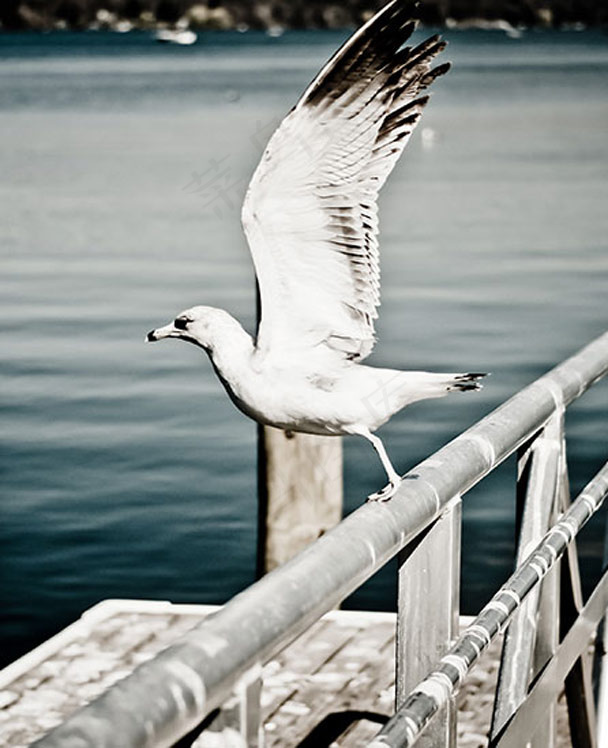 欧美商务风格网站HTML5模板