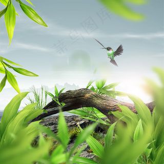 化妆品主图背景 化妆品主图背景