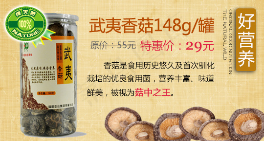 香菇轮播海报psd模版下载