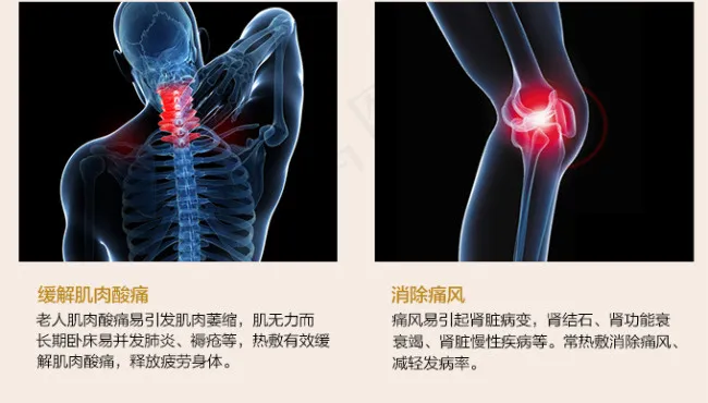 骨骼肌肉酸痛动态图psd模版下载
