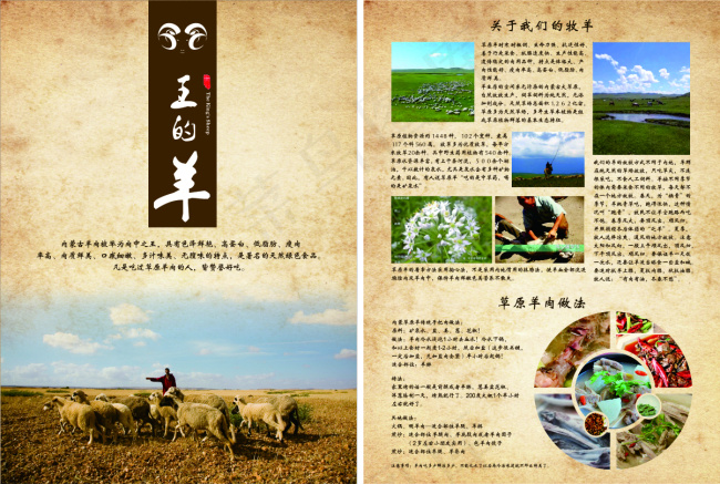 草原羊宣传单