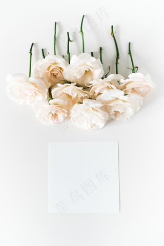 简约小清新文艺风插花静物摆拍背景