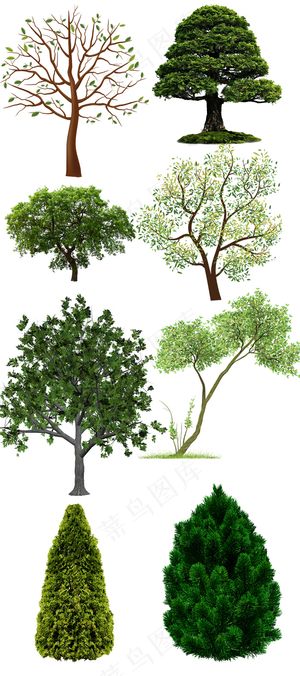 2017高清精品素材树psd设计元...