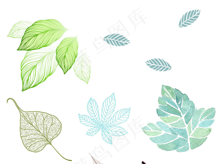 手绘花卉树叶png免扣设计设计元素