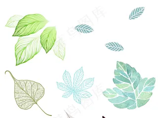 手绘花卉树叶png免扣设计设计元素