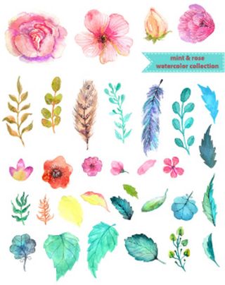 水墨叶子和花朵