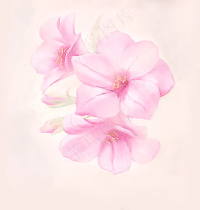 装饰花