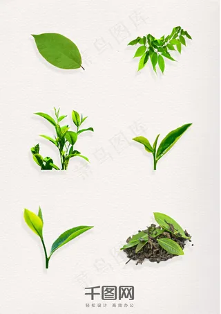 绿色叶子茶叶绿茶叶图案元素