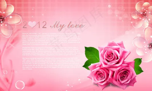 粉色背景前的粉色花朵 粉色背景前的粉色花朵