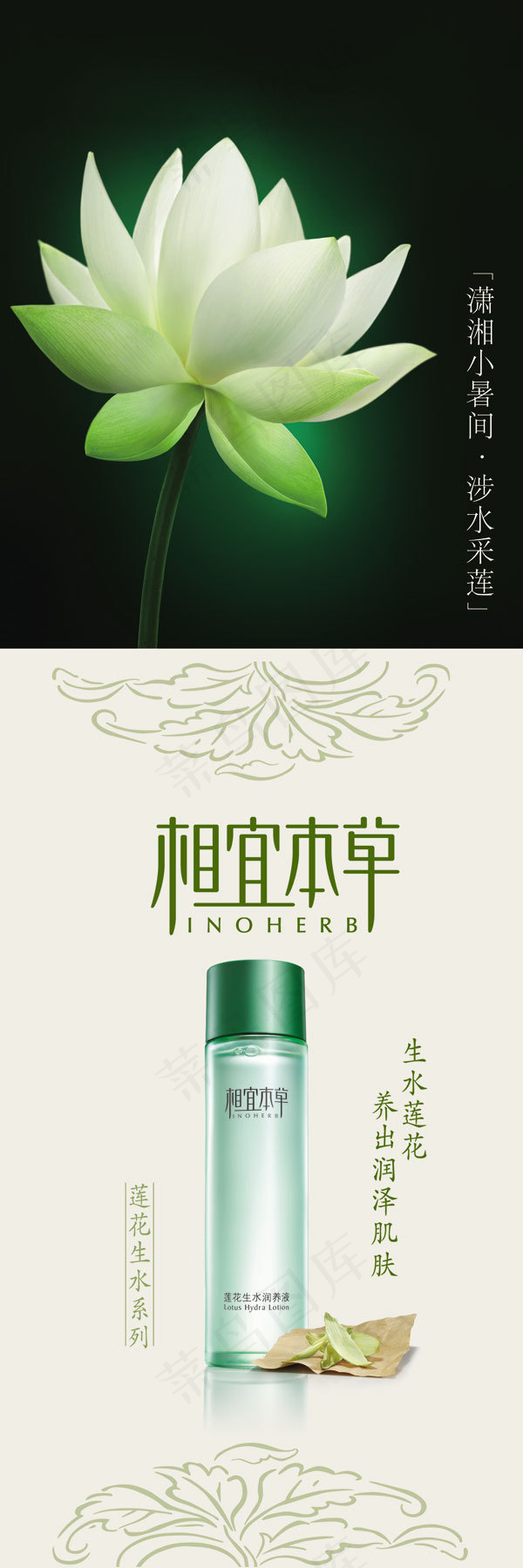 相宜本草海报免费下载,psd模版下载