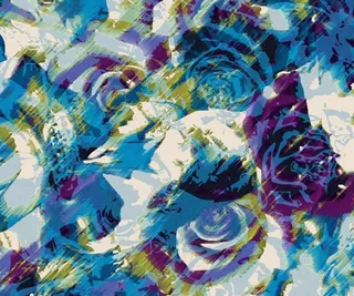 佩斯利皇家贵族服装印花移门图案