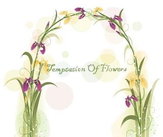 韩国植物装饰边框矢量图40