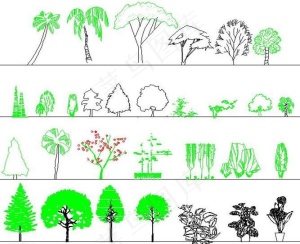 园林立面植物素材