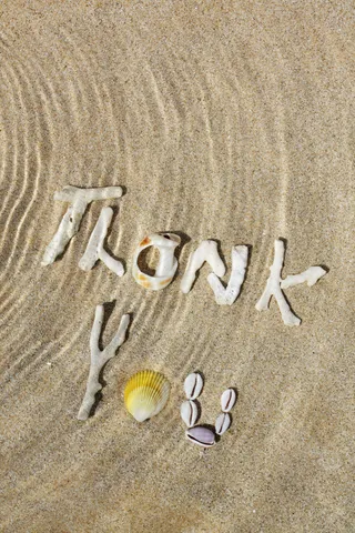 贝壳拼成的感谢图片