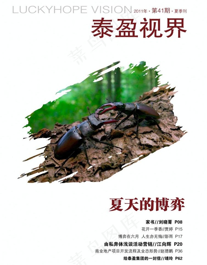 泰盈夏季刊 杂志封面设计图片(2480X3366(DPI:300))psd模版下载