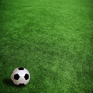 草地上的足球图片