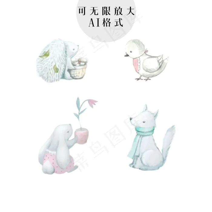 动物